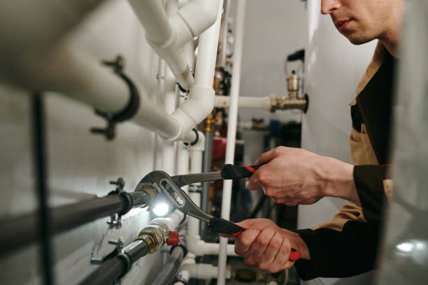 Best Plumbing Services Near Me  in Rockford, IL