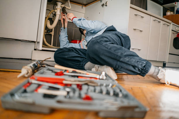 Best Residential Plumbing Services  in Rockford, IL