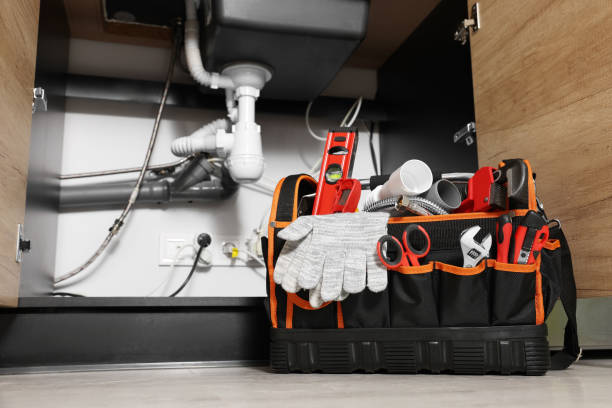 Best Clogged Drain Plumber  in Rockford, IL