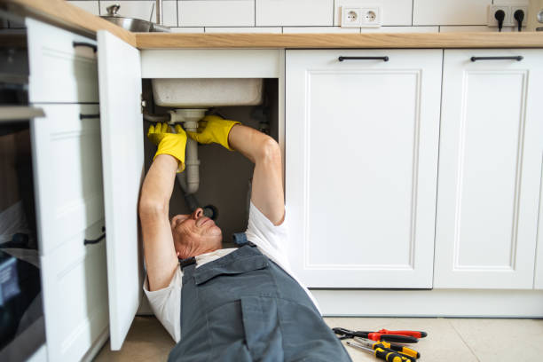 Best Plumbing Inspection Services  in Rockford, IL